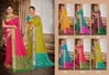 Rajashahi Patola Vol 1 By Bunawat Silk Patola Saree Wholesale Market In Surat
